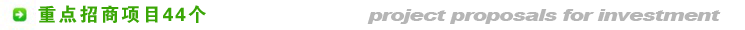 重点招商项目